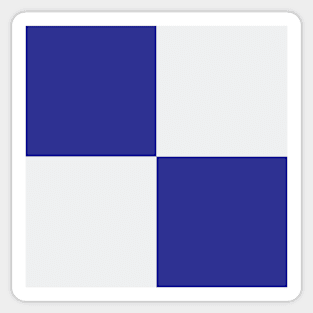 Evrton Blue and White Checkered Fan Flag Sticker